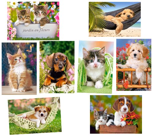 alles-meine.de GmbH 1 Stück: Mini Puzzle/Minipuzzle 120 Teile - Tiere/Tierkinder - für Kinder Kinderpuzzle Minipuzzles Hund Katze Katzen Tier Bauernhoftiere von alles-meine.de GmbH