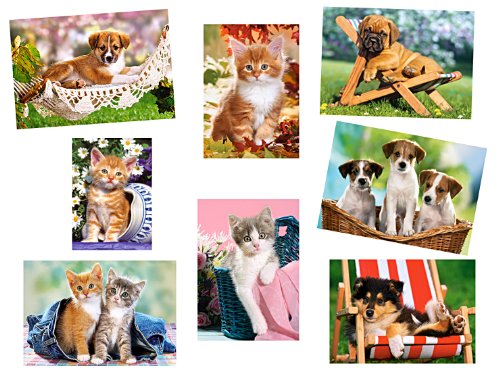 alles-meine.de GmbH 2 Stück: Mini Puzzle/Minipuzzle 80 Teile - Tiere/Haustiere - für Kinder Kinderpuzzle Minipuzzles Haustiere Katze Tierkinder Katzen Hund von alles-meine.de GmbH