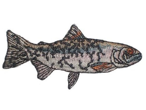 alles-meine.de GmbH Fisch 7,5 cm * 3,5 cm Bügelbild Aufnäher Applikation Fische Karpfen Hecht von alles-meine.de GmbH