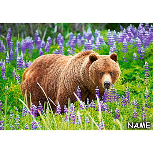 alles-meine.de GmbH Puzzle 500 Teile - Bär auf der Wiese - inkl. Name - Grizzly Blumewiese Braunbär - Grizzlybär - Nordamerika - Rocky Mountains - Yellowstone Nationalpark - Ko.. von alles-meine.de GmbH