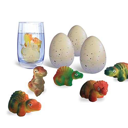 ambarscience Jura - 3 Zaubereier Dinosaurier Hatching Growing Eggs für Kinder (Ambar Passion S.A. 108000030020) von ambarscience