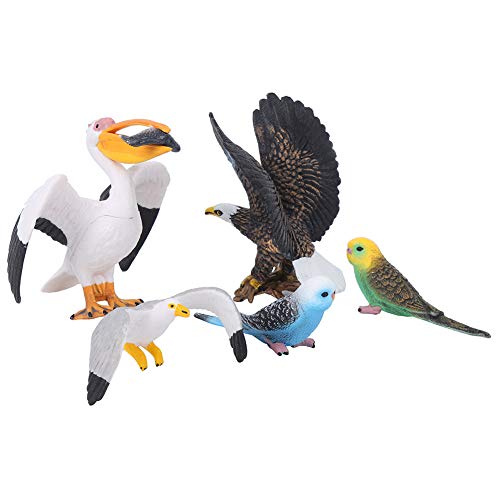 aqxreight Simulation Flying Bird für Interactive Animal Figur Set Educational Home Decor (Vogel 5 Set) von aqxreight