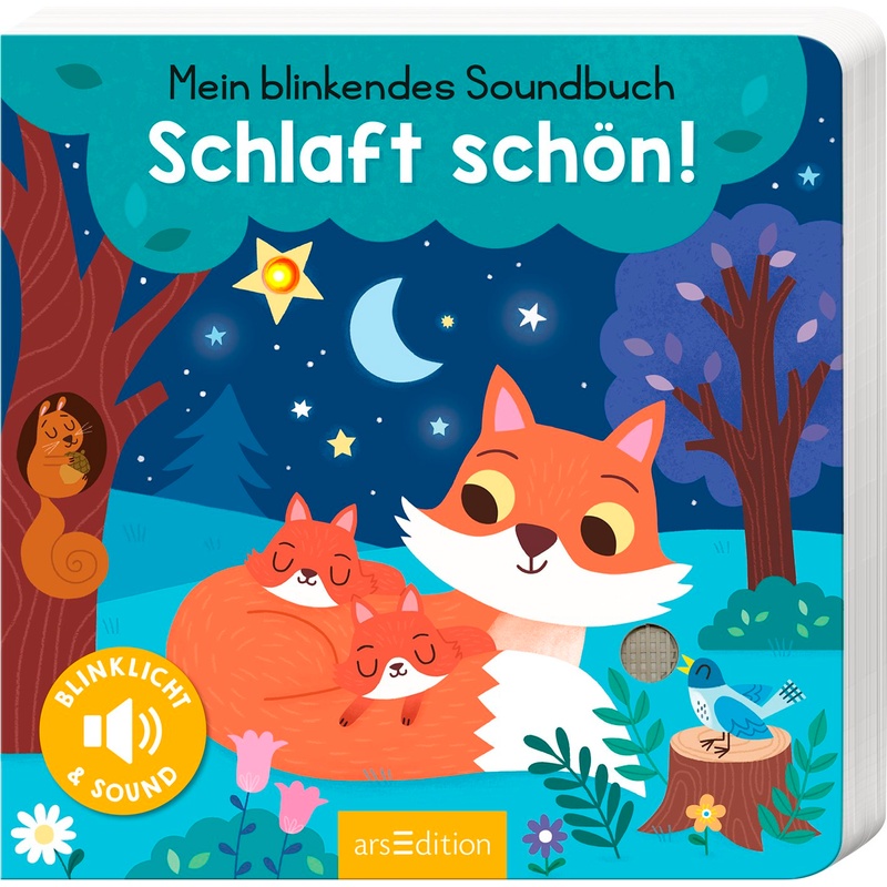 Mein blinkendes Soundbuch - Schlaft schön! von ars edition
