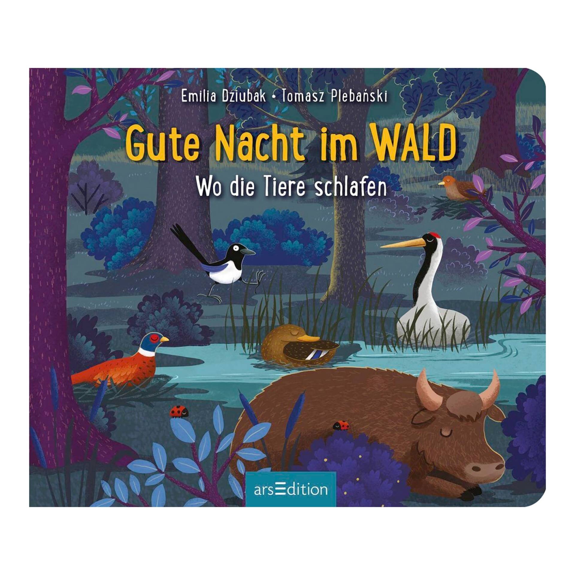 Arsedition Pappbilderbuch Gute Nacht im Wald Arsedition Pappbilderbuch Gute Nacht im Wald von arsEdition