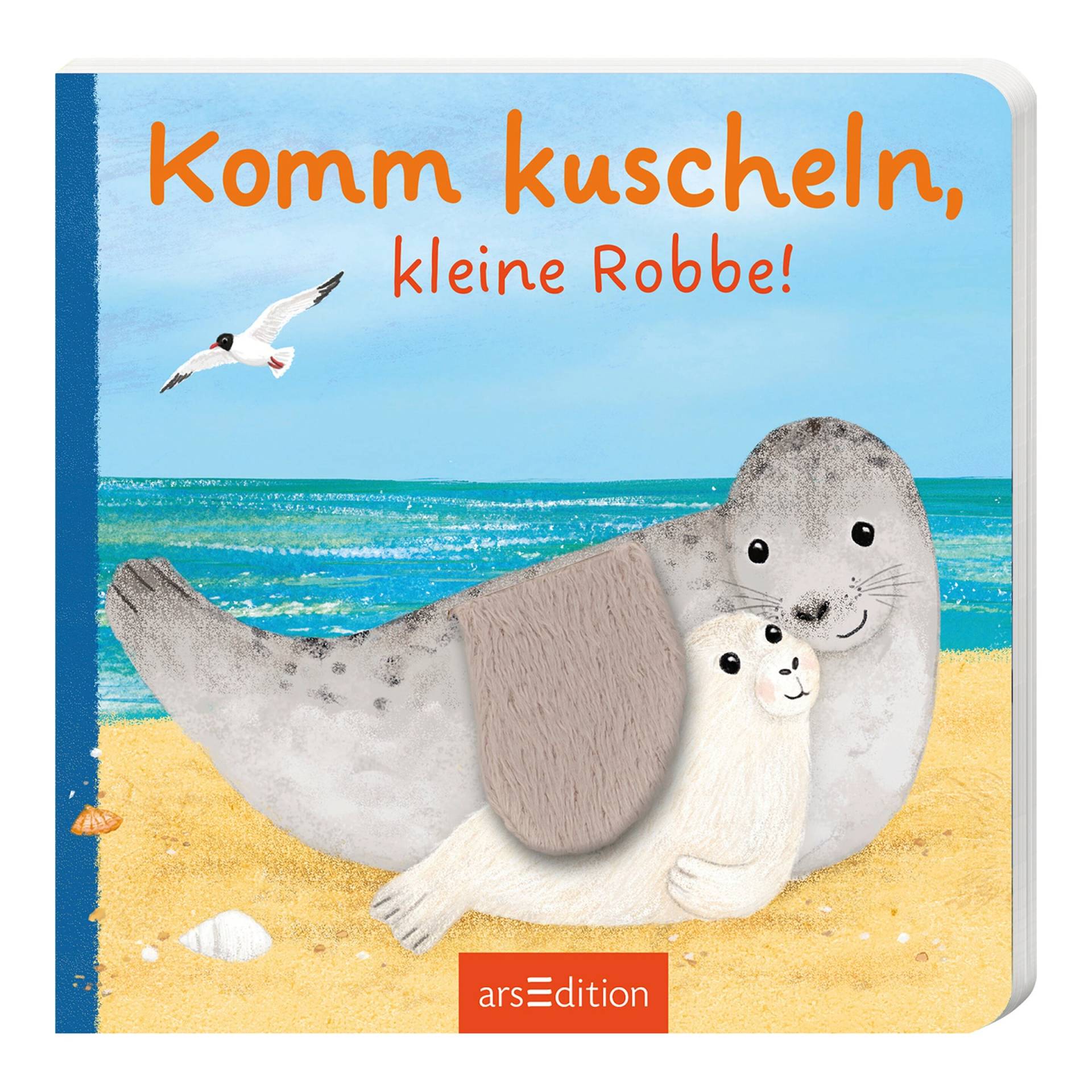 Arsedition Pappbilderbuch Komm kuscheln, kleine Robbe! von arsEdition