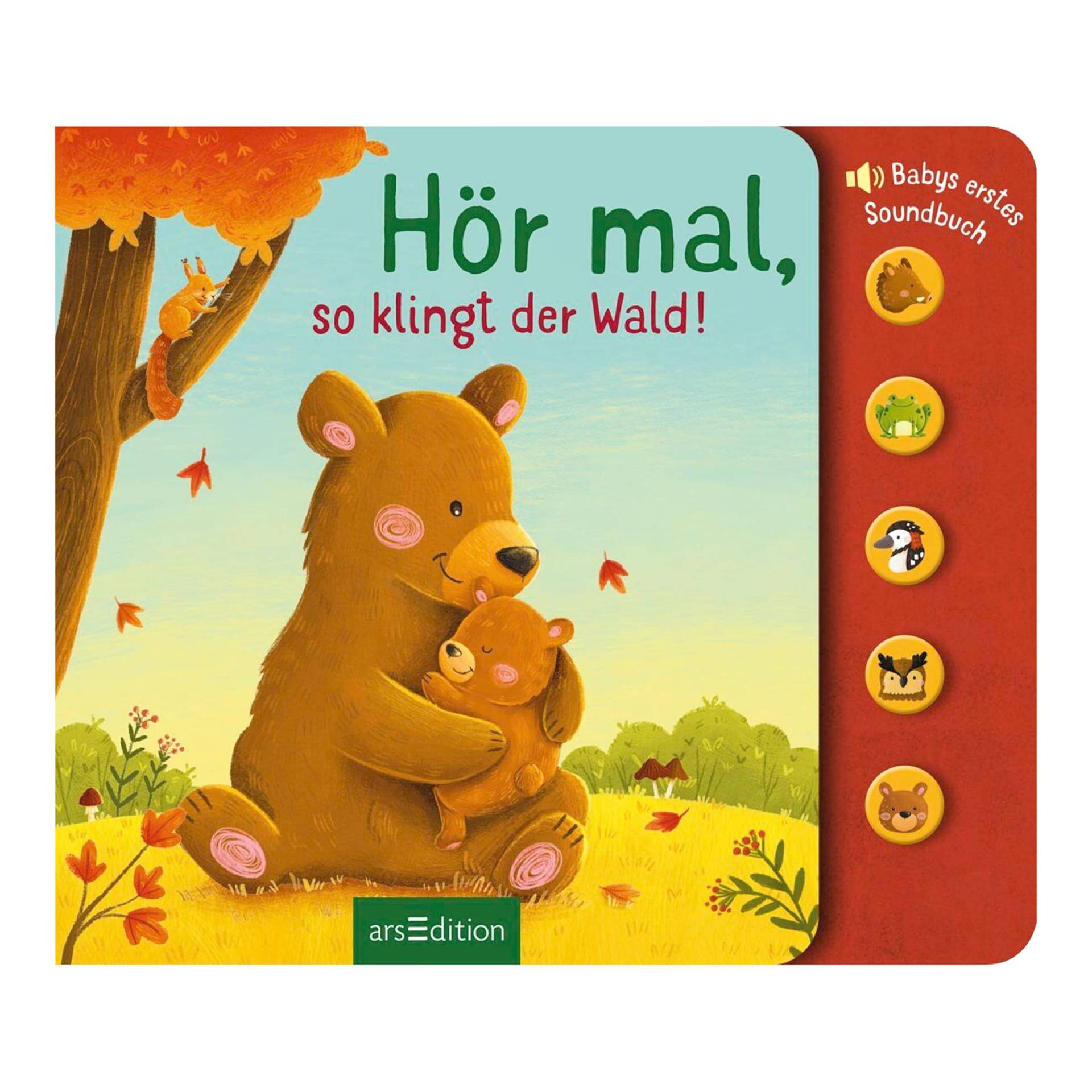 Arsedition Soundbilderbuch Hör mal, so klingt der Wald! Arsedition Soundbilderbuch Hör mal, so klingt der Wald! von arsEdition