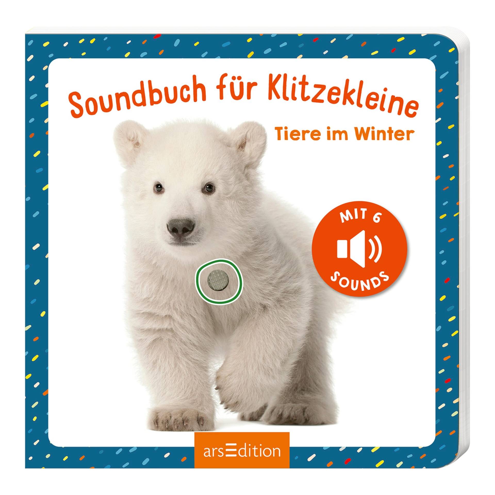 Arsedition Soundbuch für Klitzekleine - Tiere im Winter von arsEdition