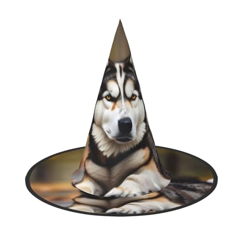 axzttupy Niedlicher Huskys Druck Halloween Hexenhut Unisex Karneval Kostüm Zubehör Partys Cosplay und Festlich axzttupy Niedlicher Huskys Druck Halloween Hexenhut Unisex Karneval Kostüm Zubehör Partys Cosplay und Festlich von axzttupy