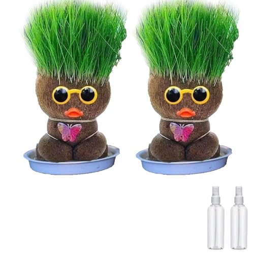 batlx Wachsende Graskopf Puppenpflanze, Graskopf Haarwuchs Spielzeug Mit Tablett, Mini Bonsai Gras Kopf Figure Puppen, Growing Grass Head, Grass Head Growing Kit for Kids (2pcs-A) von batlx