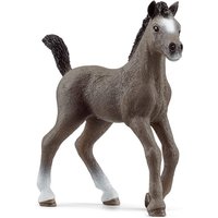 Schleich - Horse Club - Cheval de Selle Francais Fohlen von Schleich