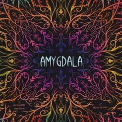 Amygdala Standard-Edition (international)