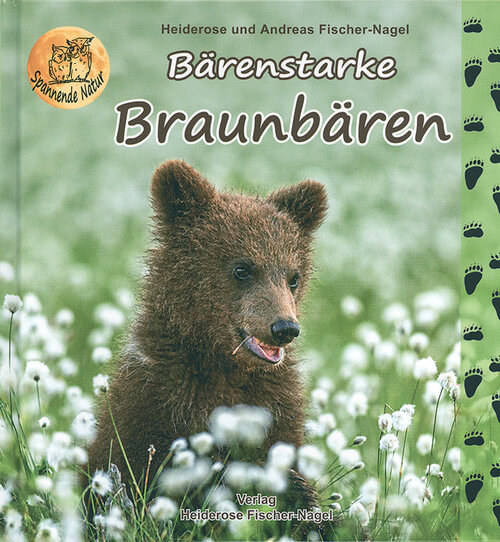 Bärenstarke Braunbären Bärenstarke Braunbären