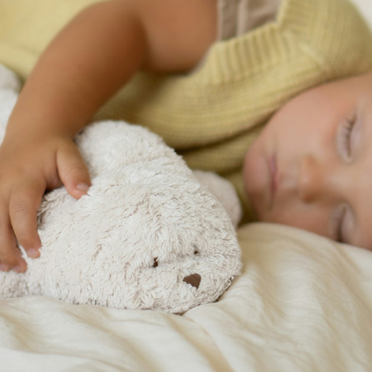 Bio Einschlafhilfe mit Sound und Licht Robbe polar Bio Einschlafhilfe mit Sound und Licht Robbe polar