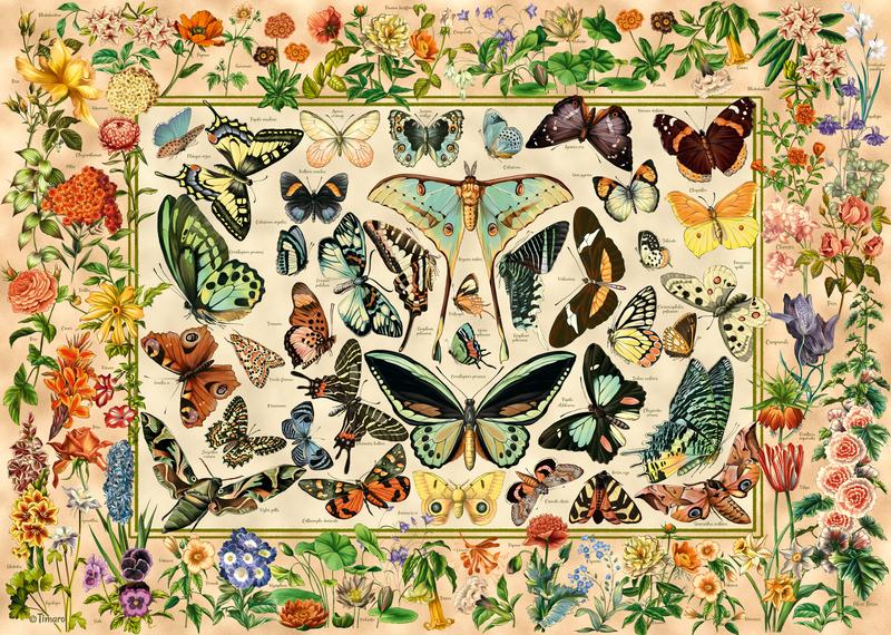 Botanische Welt Botanische Welt