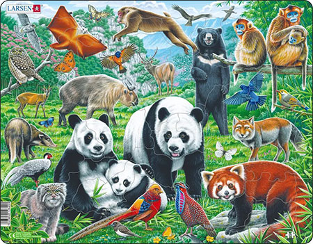 Chinas Wildnis Chinas Wildnis