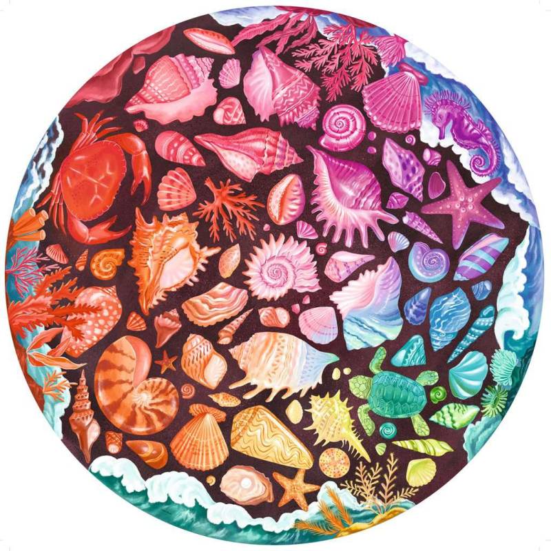 Circle of Colors: Seashells