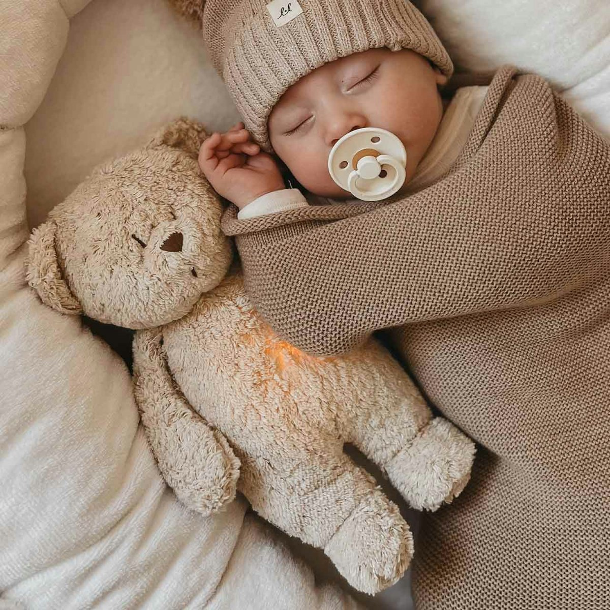 Der Bio-Summbär mit Lampe sand Der Bio-Summbär mit Lampe sand