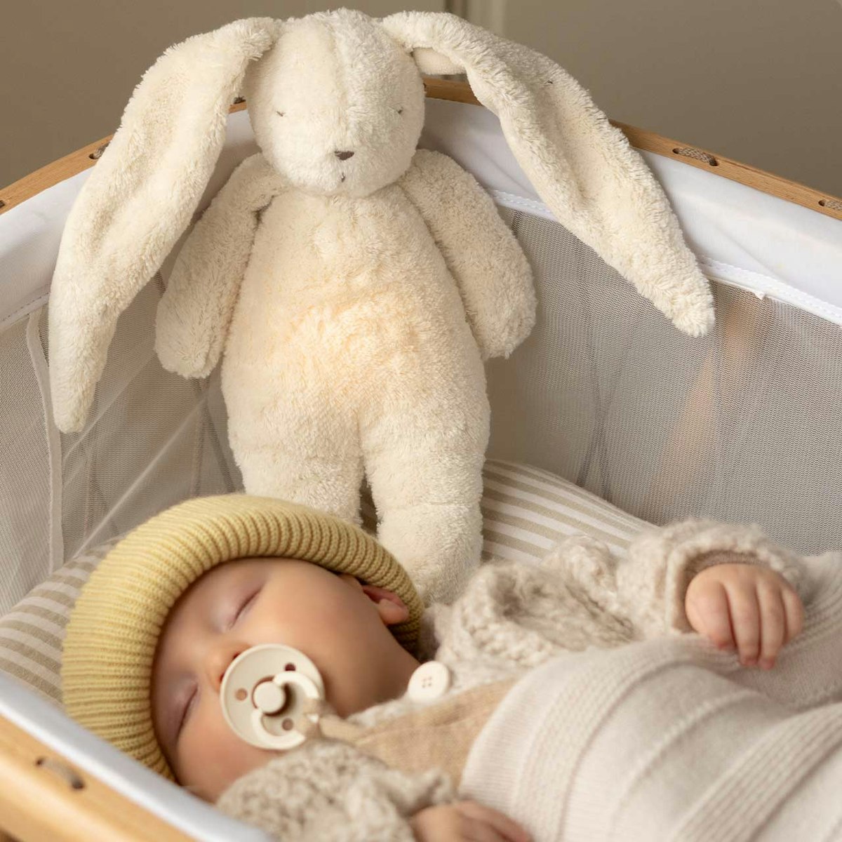 Der Bio-Summhase mit Lampe sand Der Bio-Summhase mit Lampe sand