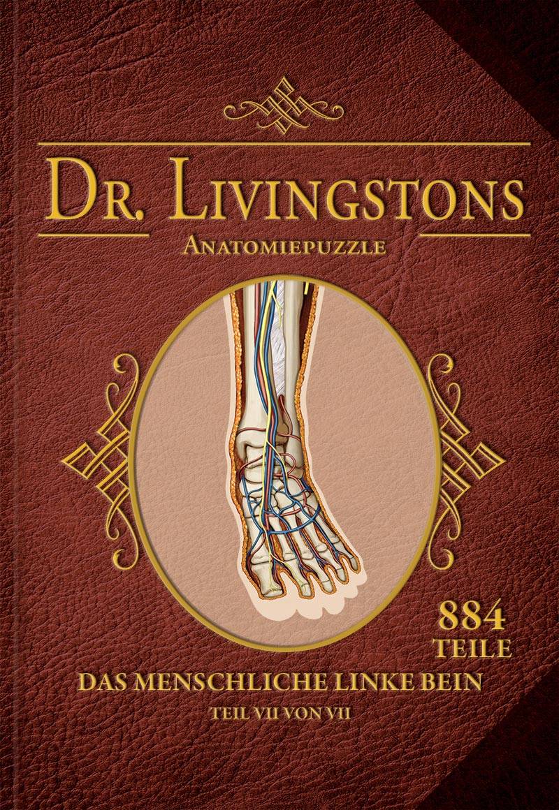 Dr. Livingstons Anatomiepuzzle: Das linke Bein (6 von 7)