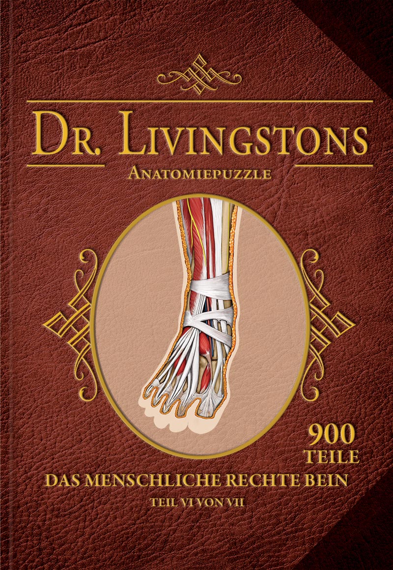 Dr. Livingstons Anatomiepuzzle: Das rechte Bein (7 von 7)