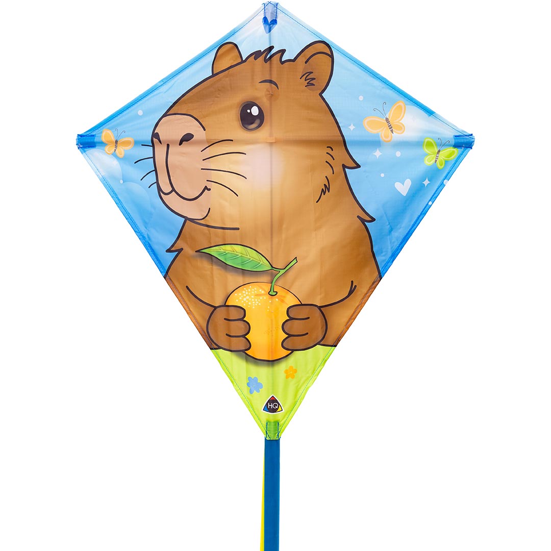 Einlein-Kinderdrachen EDDY CAPYBARA 68x68cm auf 40m Spule Spielzeug + Gadgets Einlein-Kinderdrachen EDDY CAPYBARA 68x68cm auf 40m Spule Spielzeug + Gadgets