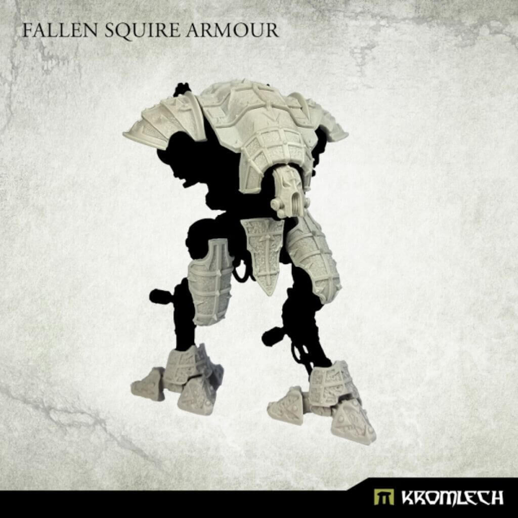 Fallen Squire Armour (1)