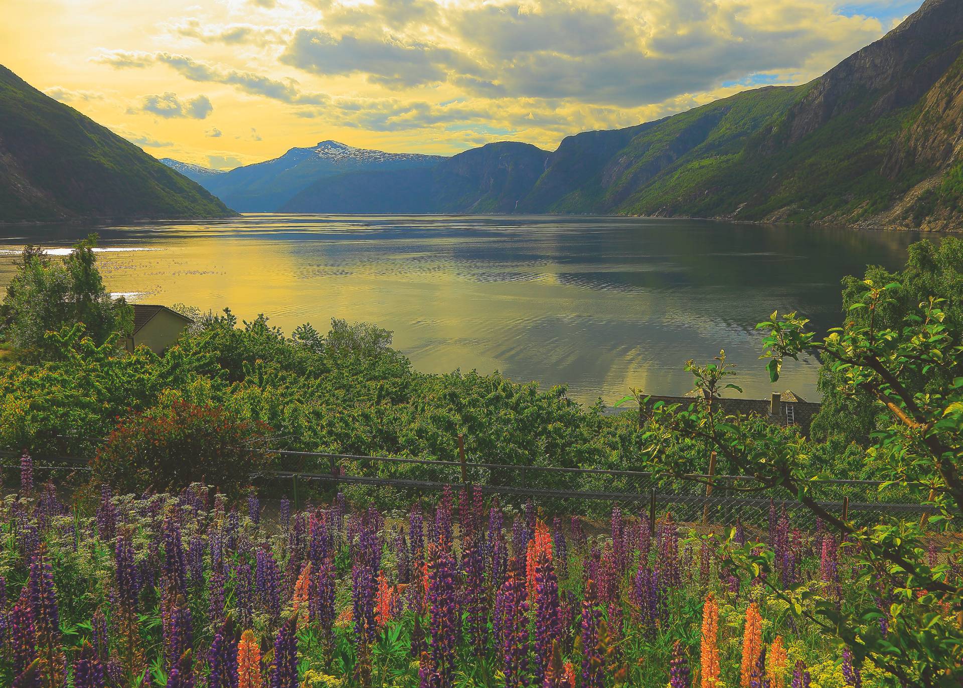 Fjord in Norwegen