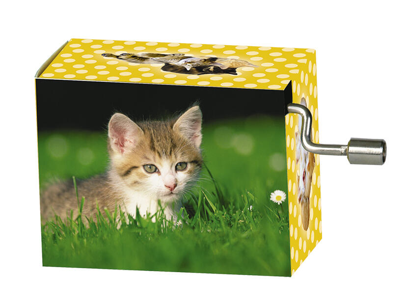 Fridolin - Spieluhr, La Le Lu, Tierkinder, Katze in der Wiese Fridolin - Spieluhr, La Le Lu, Tierkinder, Katze in der Wiese