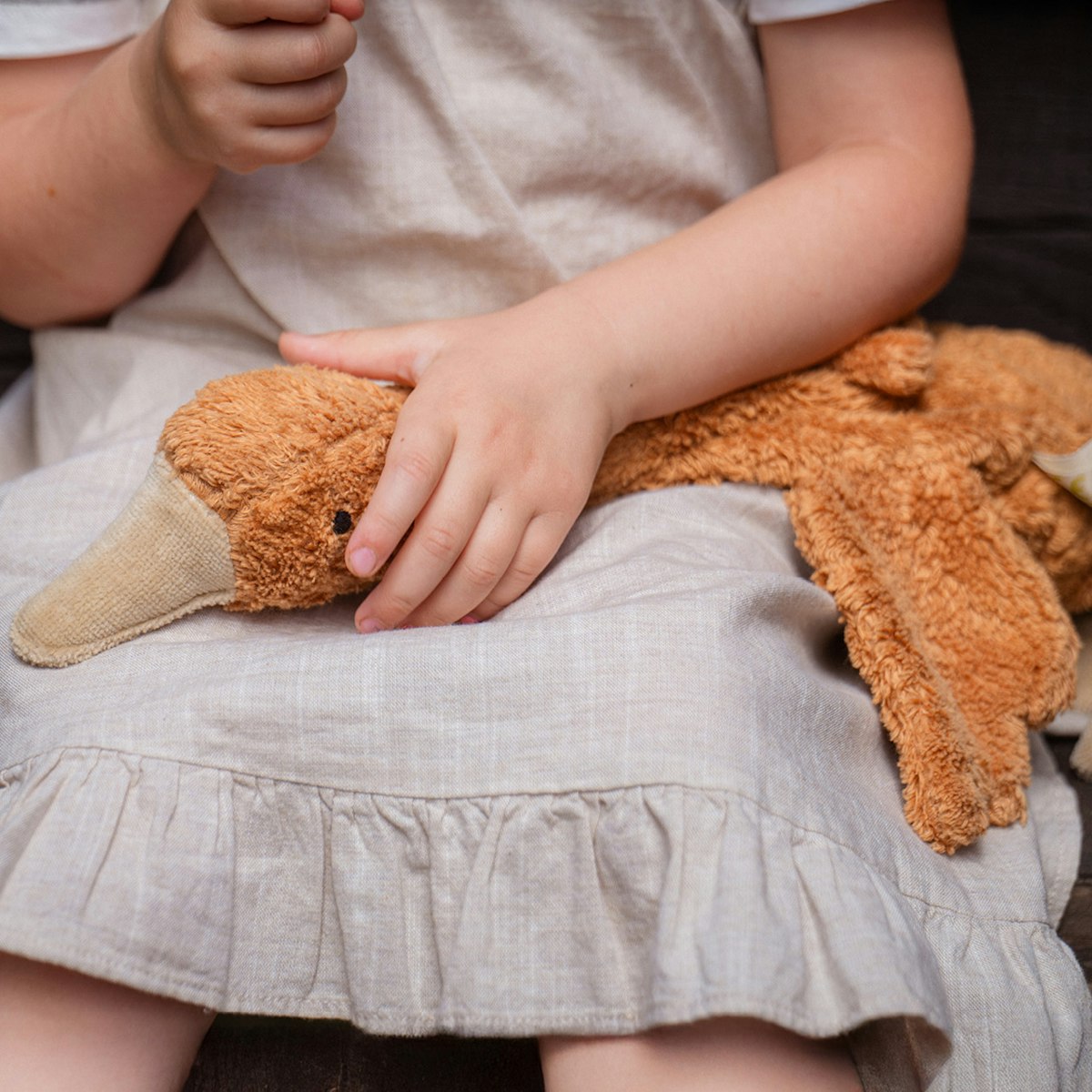 Gans klein Dinkelspreu Kuscheltier Wärmekissen rost Gans klein Dinkelspreu Kuscheltier Wärmekissen rost