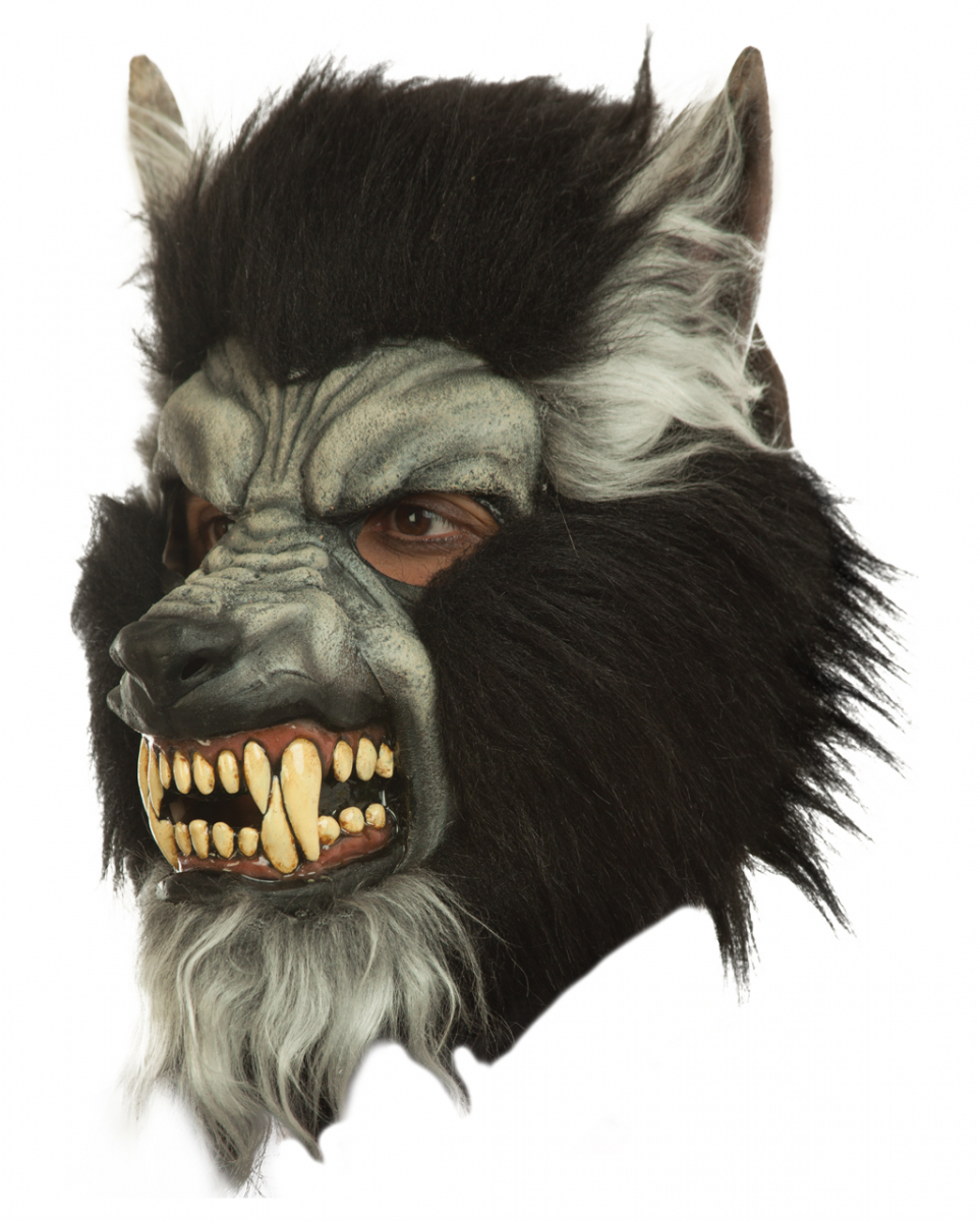 Graue Wolf Maske mit fletschenden Zähnen Graue Wolf Maske mit fletschenden Zähnen