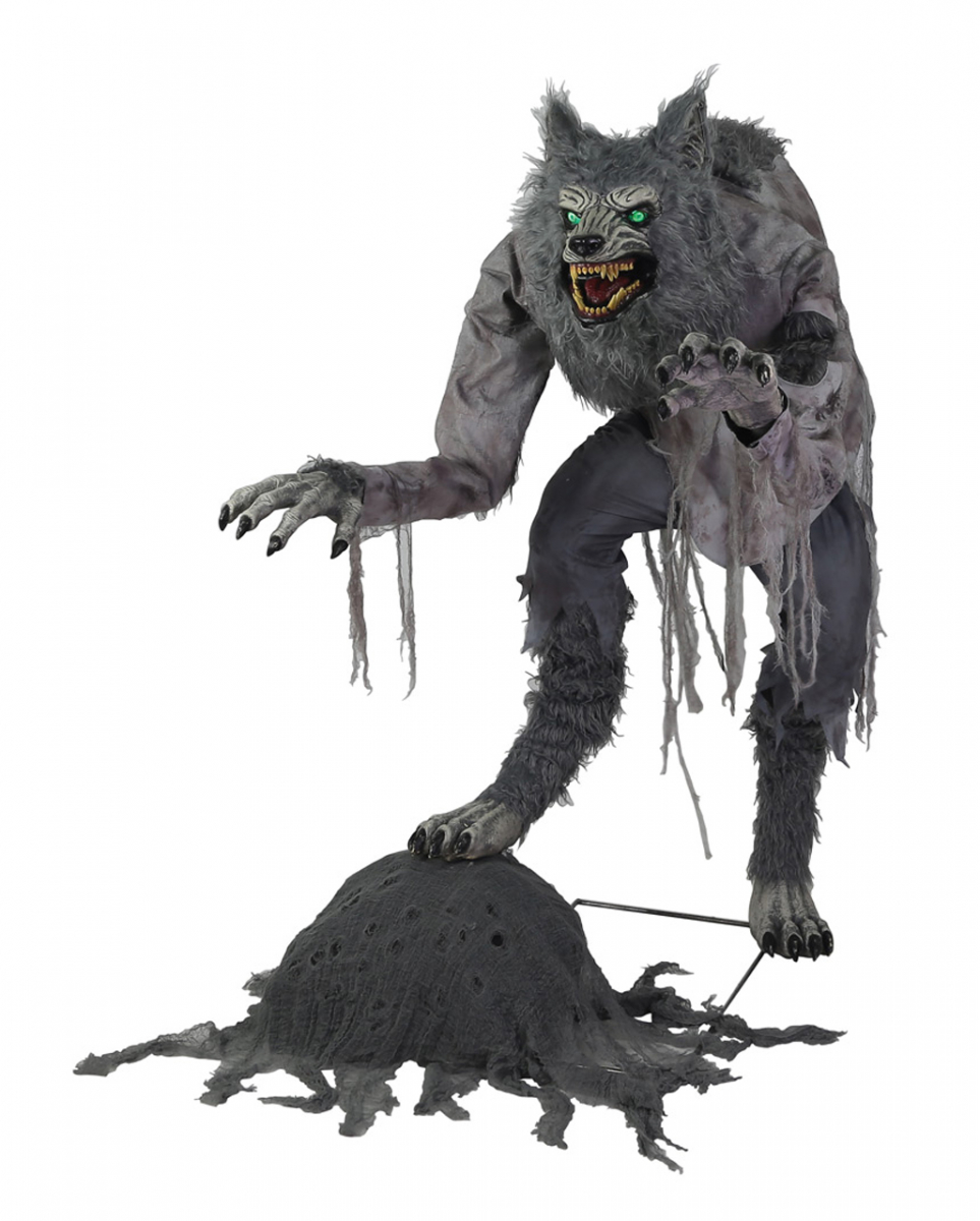 Grimmiger Werwolf Halloween Animatronic