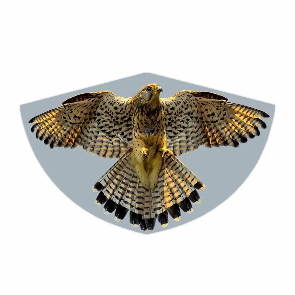Günther - Kinderdrachen Falke Günther - Kinderdrachen Falke