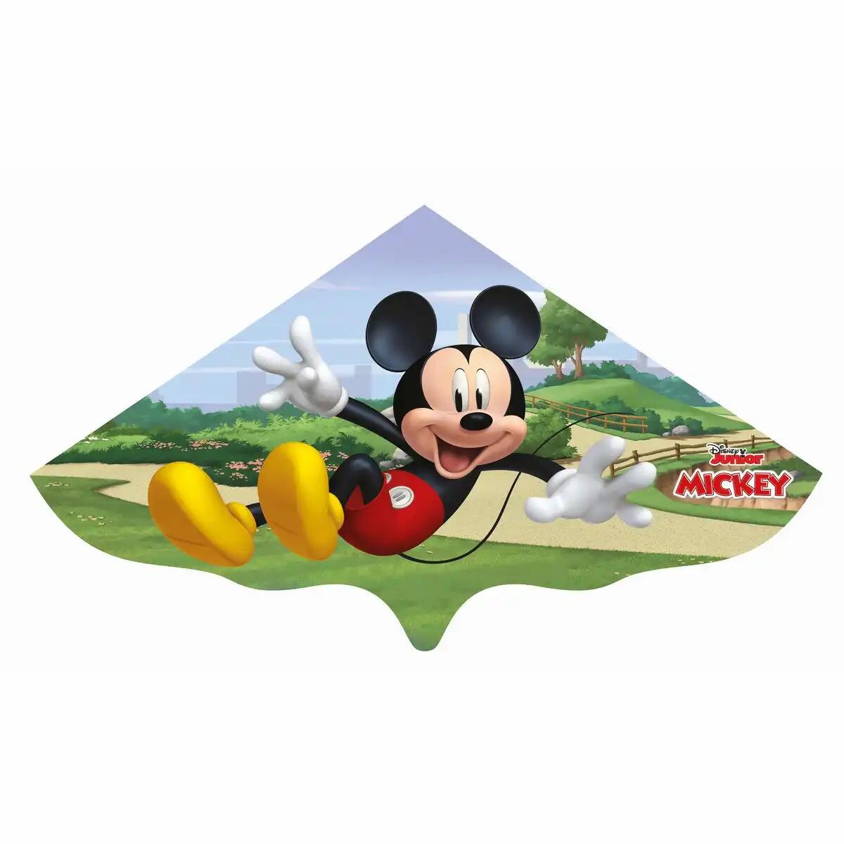 Iden - Paul Günther Einleinerdrachen Disney Micky Maus Iden - Paul Günther Einleinerdrachen Disney Micky Maus