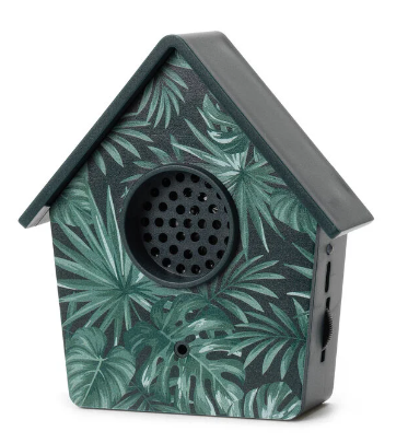 Klangbox THE SOUND OF NATURE Grün mit Infrarot-Bewegungsmelder 10x3x11cm Spielzeug + Gadgets Klangbox THE SOUND OF NATURE Grün mit Infrarot-Bewegungsmelder 10x3x11cm Spielzeug + Gadgets