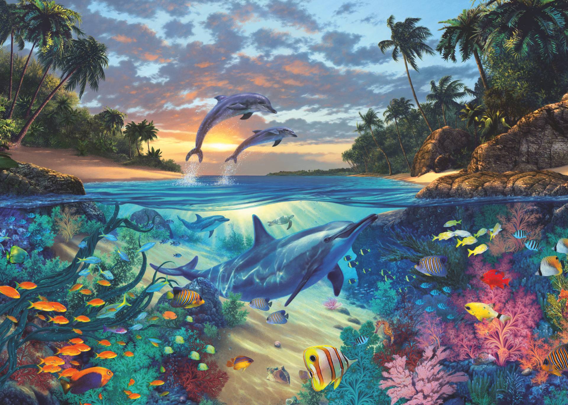 Korallenbucht Korallenbucht