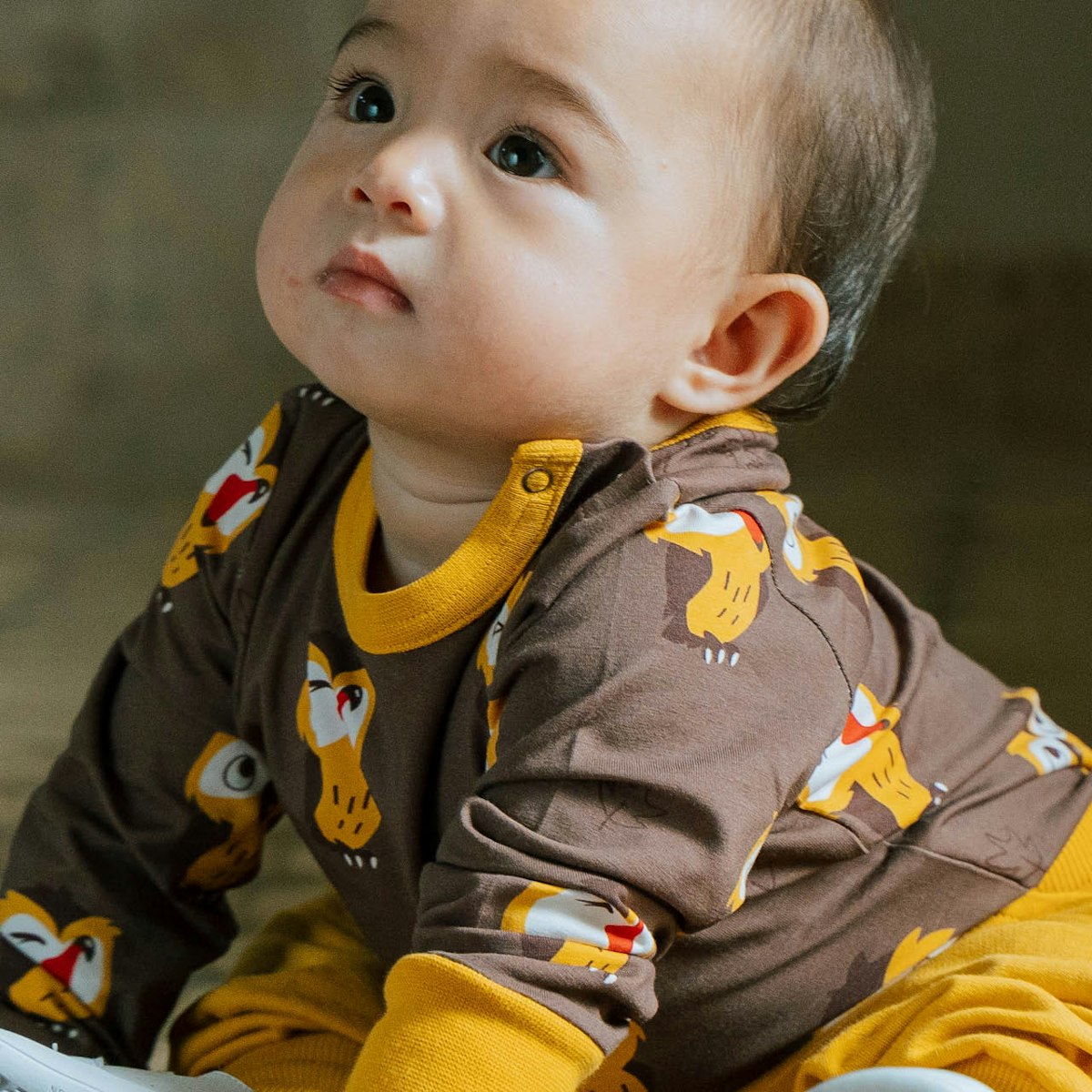 Langarmbody im braun mit Eulen Motiv 74/80 Langarmbody im braun mit Eulen Motiv 74/80