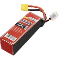 Modellbau-Akkupack (LiPo) 14.8V 5500 mAh Zellen-Zahl: 4 20 C Softcase XT90 von Re-In Retail International GmbH