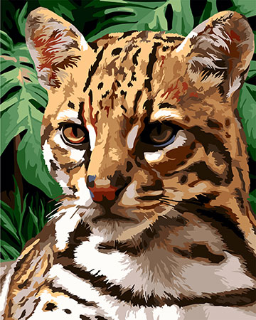 Ocelot