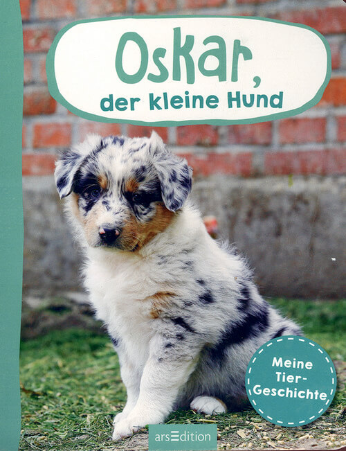 Oskar, der kleine Hund - Meine Tiergeschichte Oskar, der kleine Hund - Meine Tiergeschichte