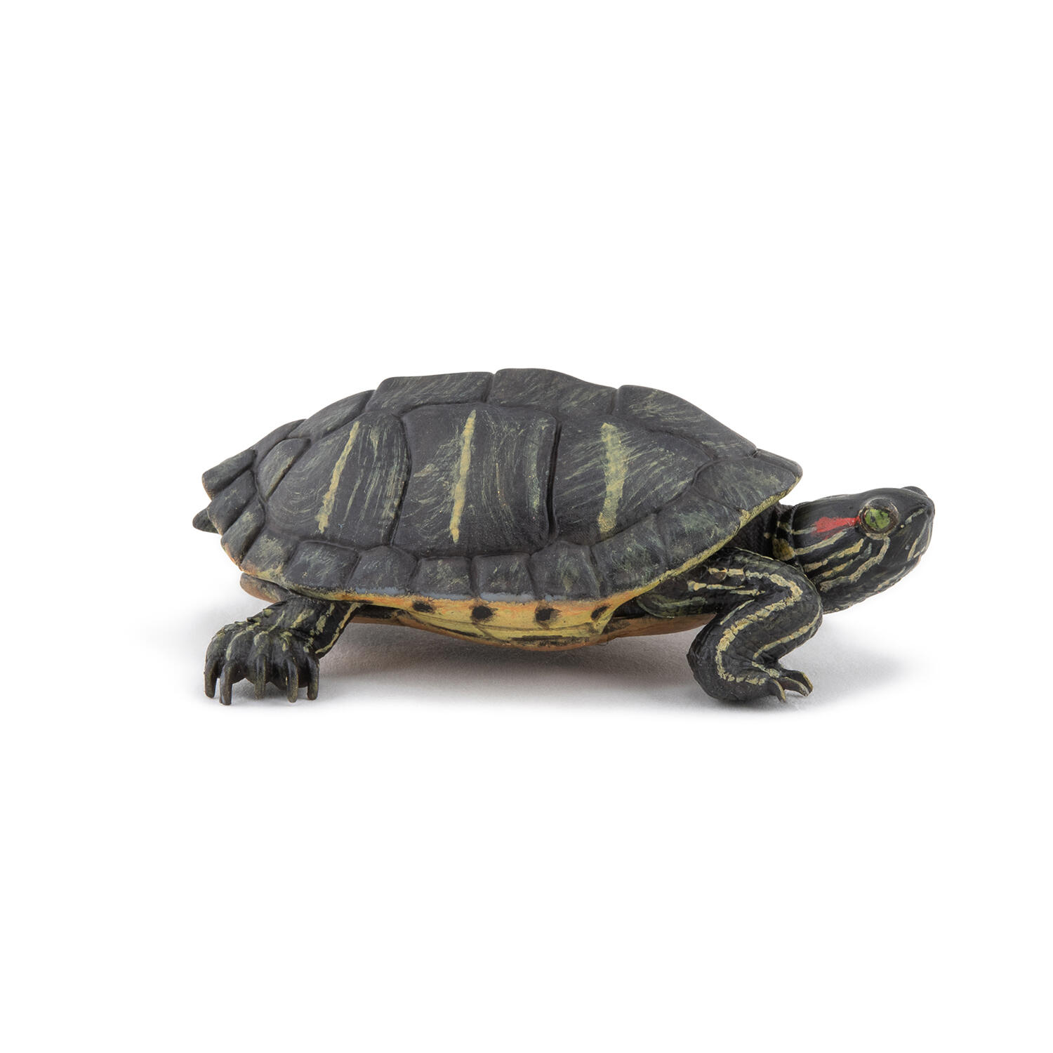 Papo - Spielfigur Florida Schildkröte Papo - Spielfigur Florida Schildkröte