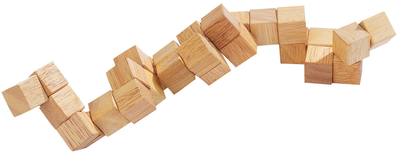 Philos - Cobra Würfel / Das Knobelspiel Philos - Cobra Würfel / Das Knobelspiel