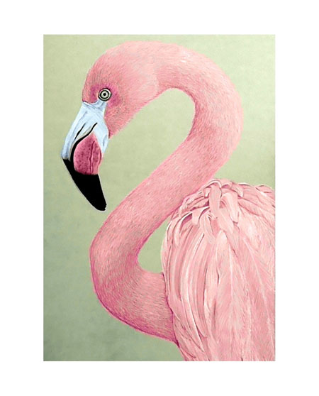 Pinker Flamingo