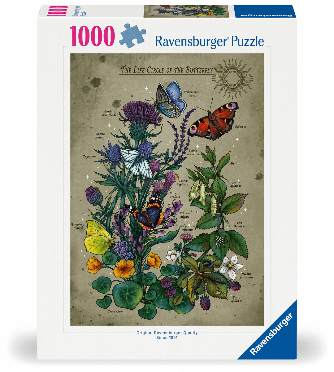 Ravensburger - Puzzle 1000 Teile - Lebenskreis eines Schmetterlings Ravensburger - Puzzle 1000 Teile - Lebenskreis eines Schmetterlings