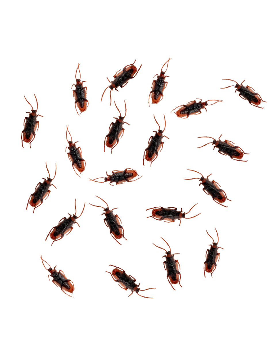 Realistische Küchenschaben aus Vinyl 12 St. Realistische Küchenschaben aus Vinyl 12 St.