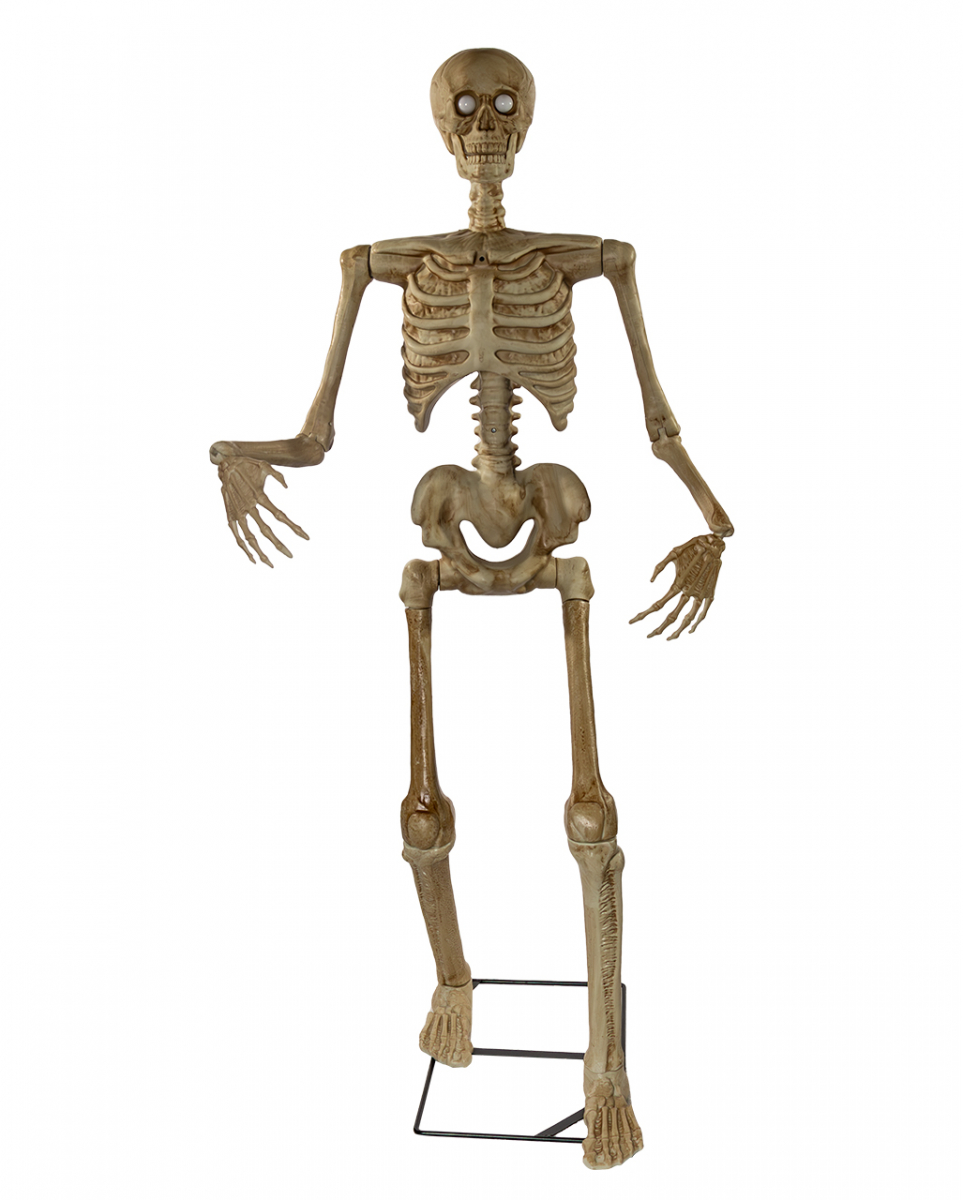 Scary Skelett Halloween Animatronic 150cm