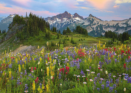 Tatoosh Bergkette