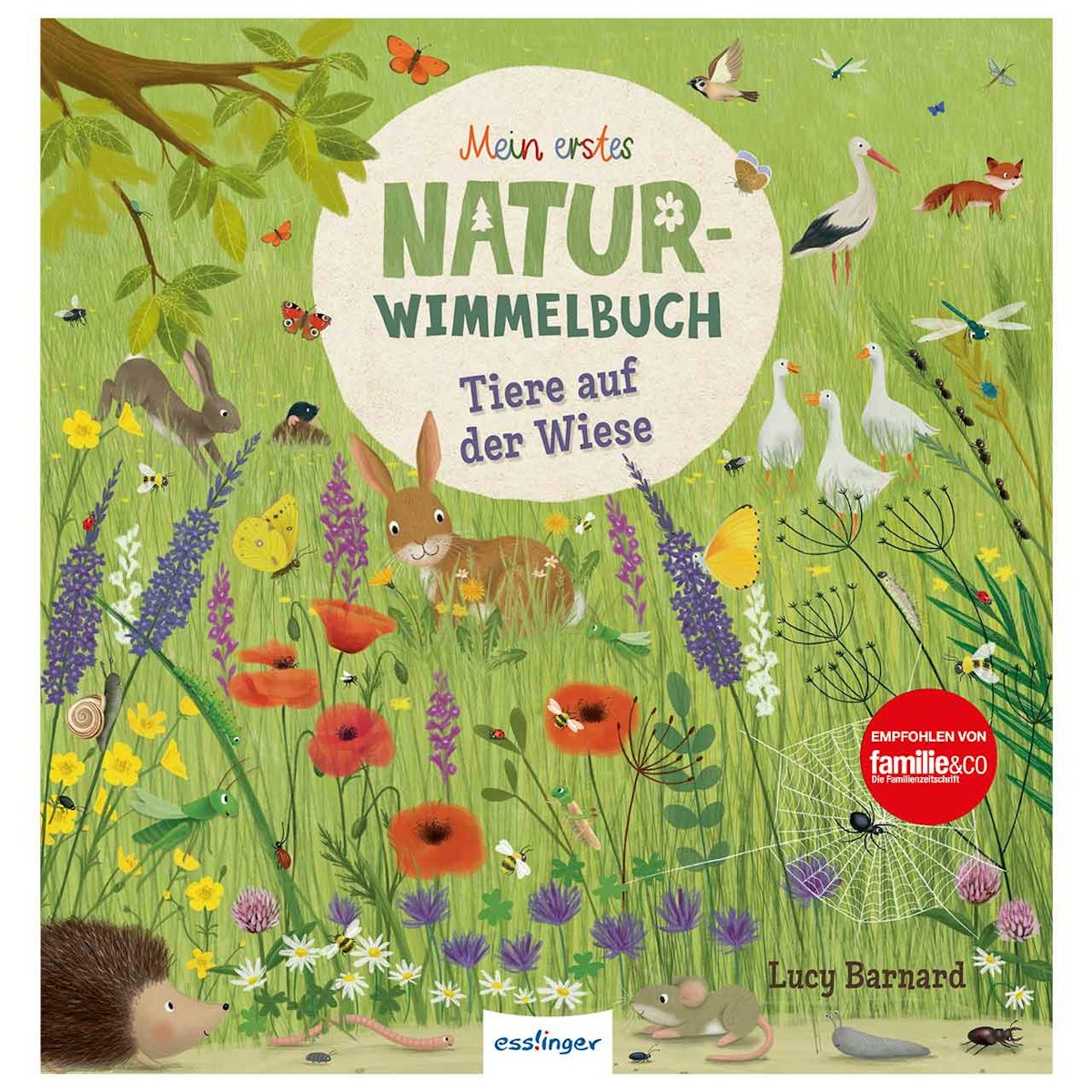 Tiere auf der Wiese – Natur-Wimmelbuch ab 2 Jahren Tiere auf der Wiese – Natur-Wimmelbuch ab 2 Jahren