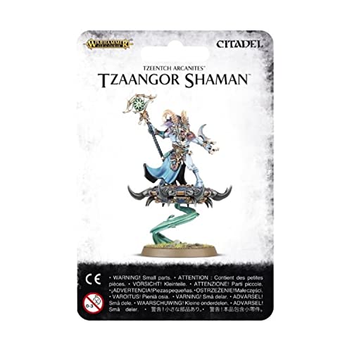 Tzeentch arcanites – tzaangor Shaman 83 – 76 – Warhammer Age of Sigmar von Warhammer Age of Sigmar