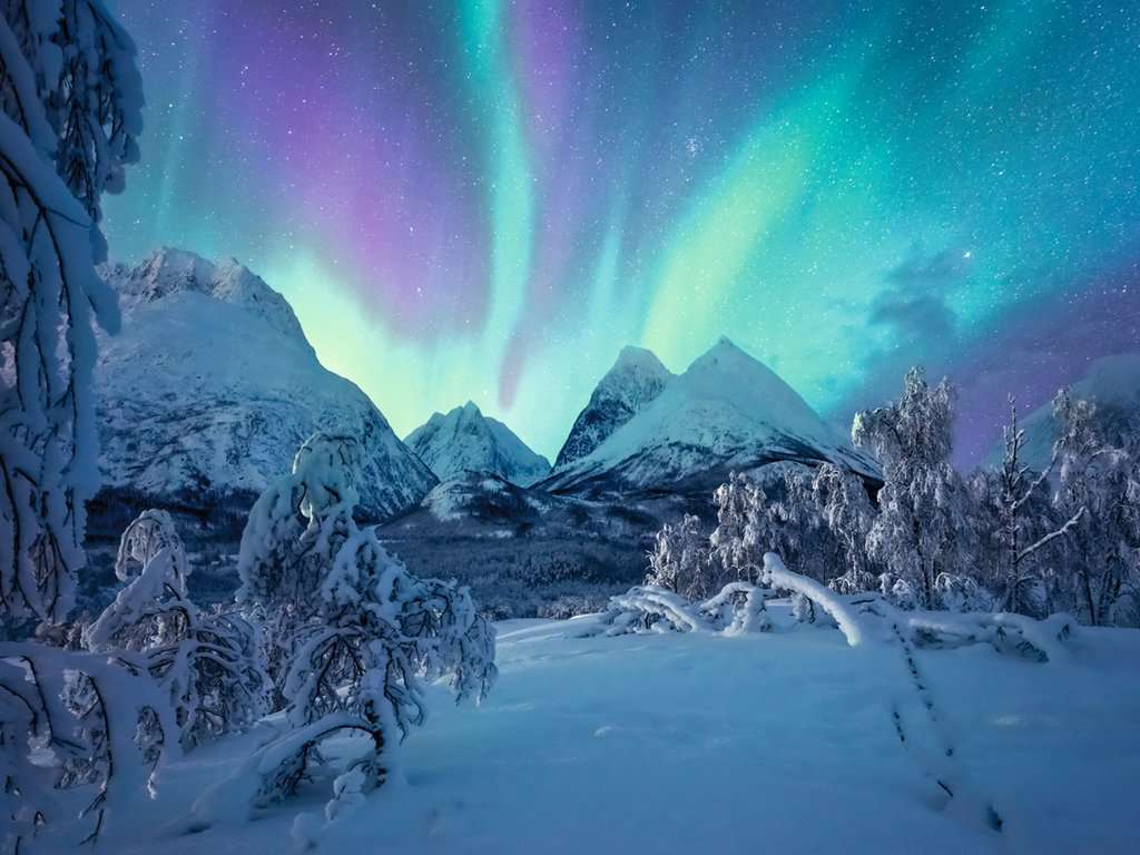 Wenn die Nordlichter tanzen Wenn die Nordlichter tanzen