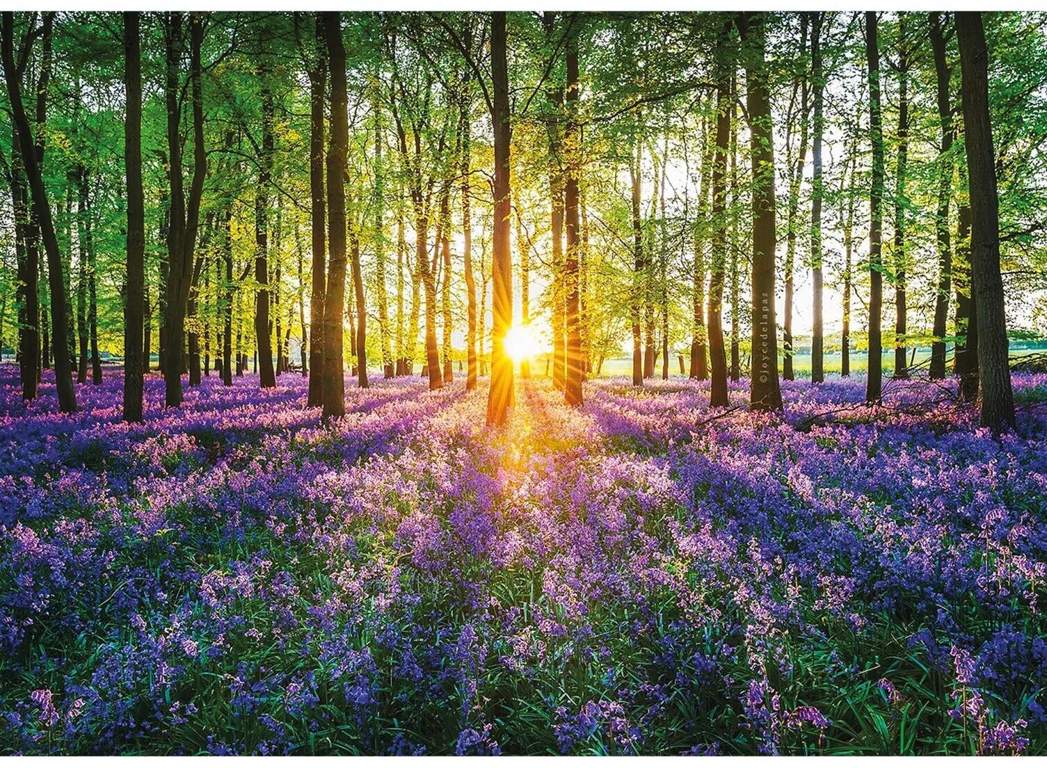 Wentworth Puzzles - Holzpuzzle / 40 Teile / Bluebells / Mini Wentworth Puzzles - Holzpuzzle / 40 Teile / Bluebells / Mini